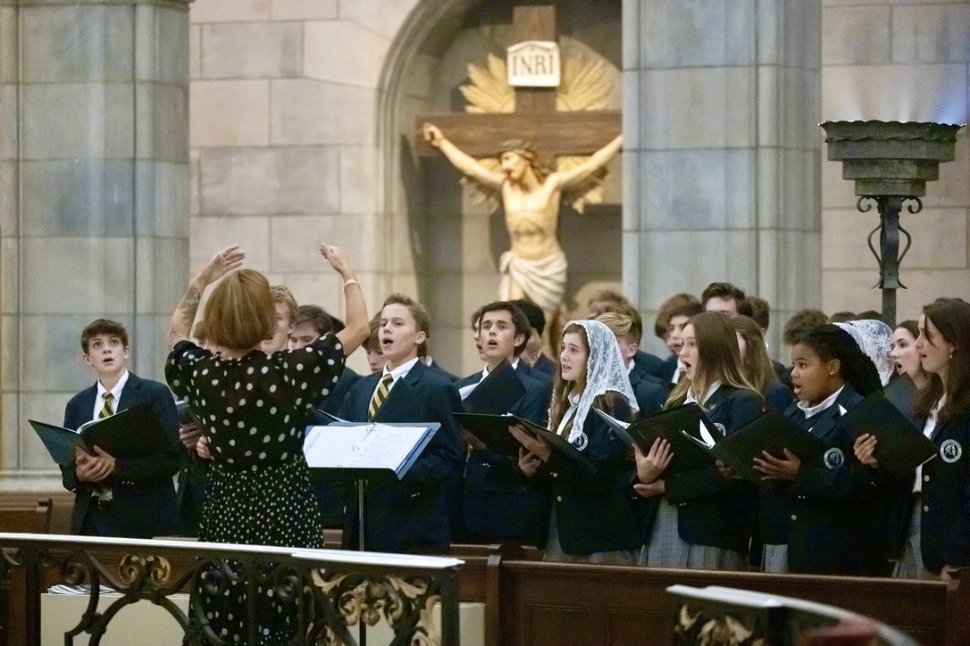 8a70b40e F1ff 483e 8f91 9cc7db8fbefe 1 105 C