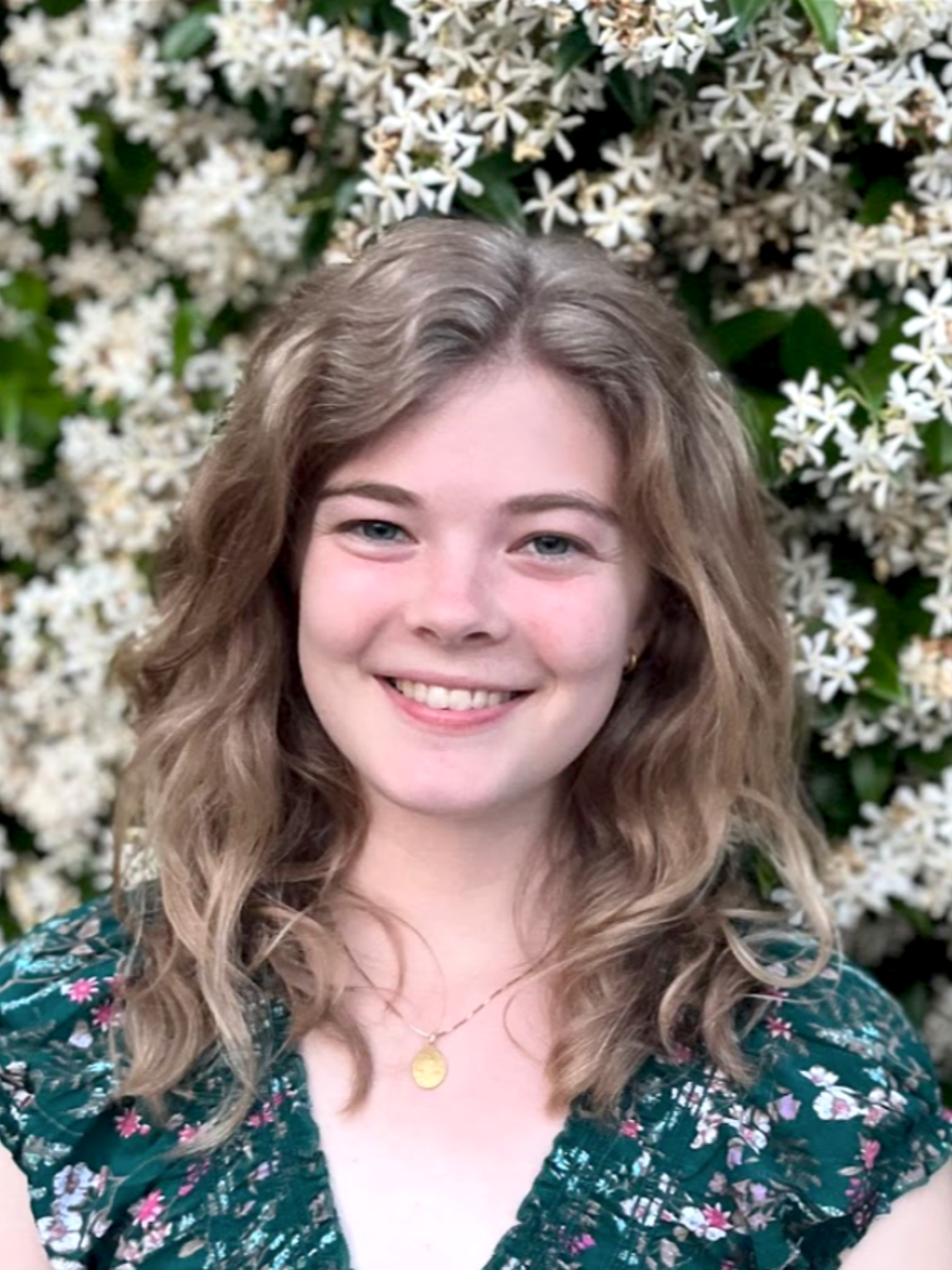 D43cf464 9b5f 4a80 9446 87408b5884ba